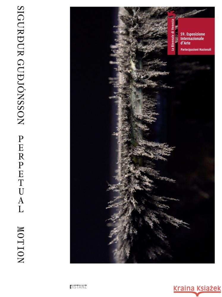 Sigurður Guðjo nsson - Perpetual Motion Guðjónsson, Sigurður 9783954764808