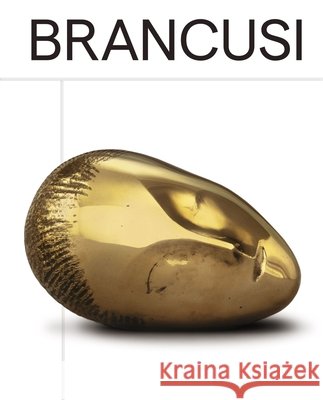 Brancusi Constantin Brancusi 9783954768257