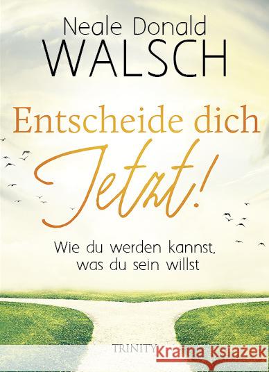 Entscheide dich jetzt! : Wie du werden kannst, was du sein willst Walsch, Neale D. 9783955503017 Trinity