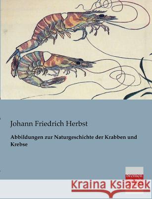 Abbildungen Zur Naturgeschichte Der Krabben Und Krebse Johann Friedrich Herbst 9783955621469