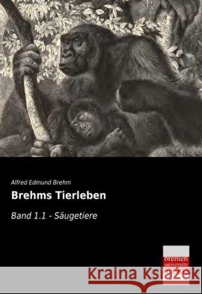 Brehms Tierleben. Bd.1.1 : Säugetiere Brehm, Alfred E. 9783955624927 Bremen University Press