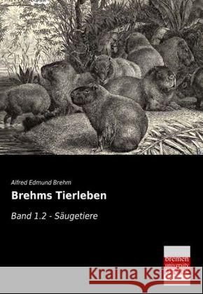 Brehms Tierleben. Bd.1.2 : Säugetiere Brehm, Alfred E. 9783955624934 Bremen University Press