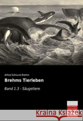 Brehms Tierleben. Bd.1.3 : Säugetiere Brehm, Alfred E. 9783955624941 Bremen University Press