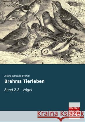 Brehms Tierleben : Band 2.2 - Vögel Brehm, Alfred E. 9783955626129 Bremen University Press