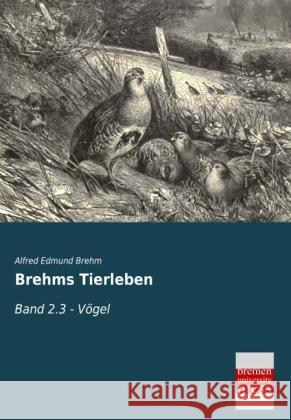 Brehms Tierleben : Band 2.3 - Vögel Brehm, Alfred E. 9783955626136 Bremen University Press