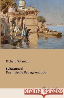 Śukasaptati: Das indische Papageienbuch Schmidt, Richard 9783955631314 Leseklassiker