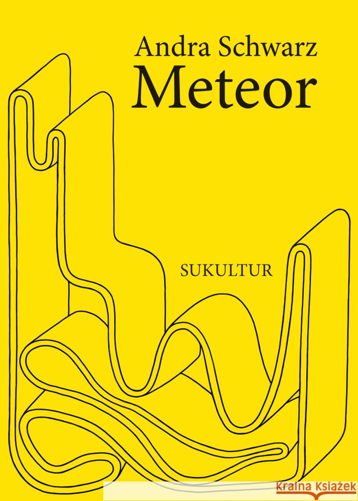 Meteor Schwarz, Andra 9783955661564 SUKULTUR Verlag