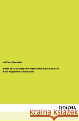 Blicke in Die Zukunft Der Nordfriesischen Inseln Und Der Schleswigschen Festlandskuste Adelbert Baudissin 9783955800772