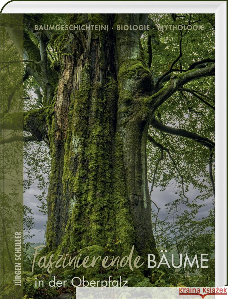 Faszinierende Bäume in der Oberpfalz Schuller, Jürgen 9783955870942