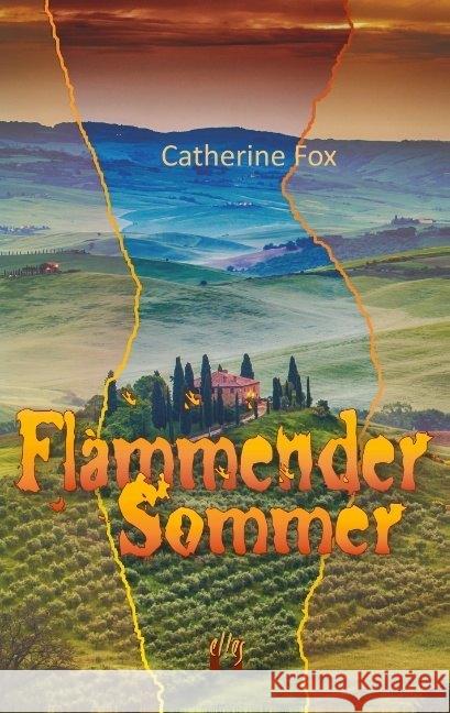 Flammender Sommer : Liebesgeschichte Fox, Catherine 9783956092091