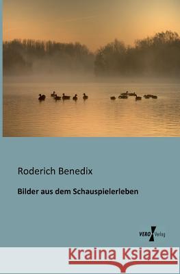 Bilder aus dem Schauspielerleben Roderich Benedix 9783956100482 Vero Verlag