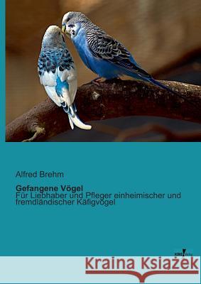 Gefangene Vögel: Für Liebhaber und Pfleger einheimischer und fremdländischer Käfigvögel Brehm, Alfred 9783956102325