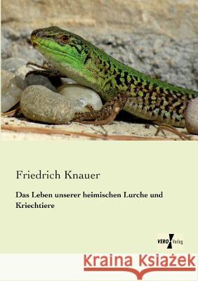 Das Leben unserer heimischen Lurche und Kriechtiere Friedrich Knauer 9783956103940