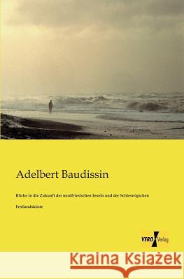 Blicke in die Zukunft der nordfriesischen Inseln und der Schleswigschen Festlandsküste Adelbert Baudissin 9783956107443 Vero Verlag