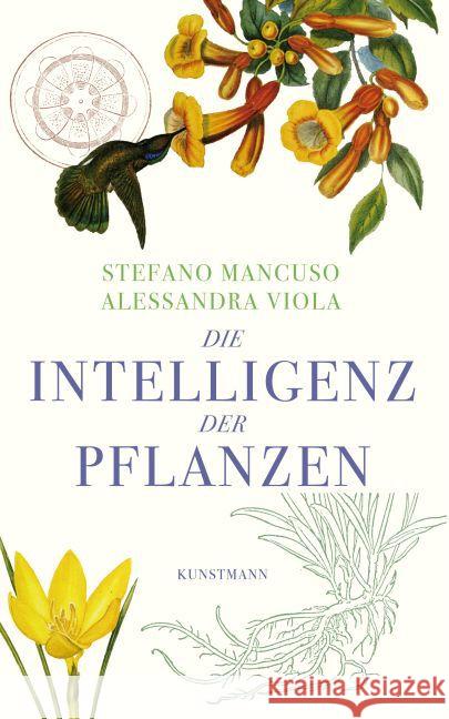 Die Intelligenz der Pflanzen Mancuso, Stefano; Viola, Alessandra 9783956140303 Verlag Antje Kunstmann