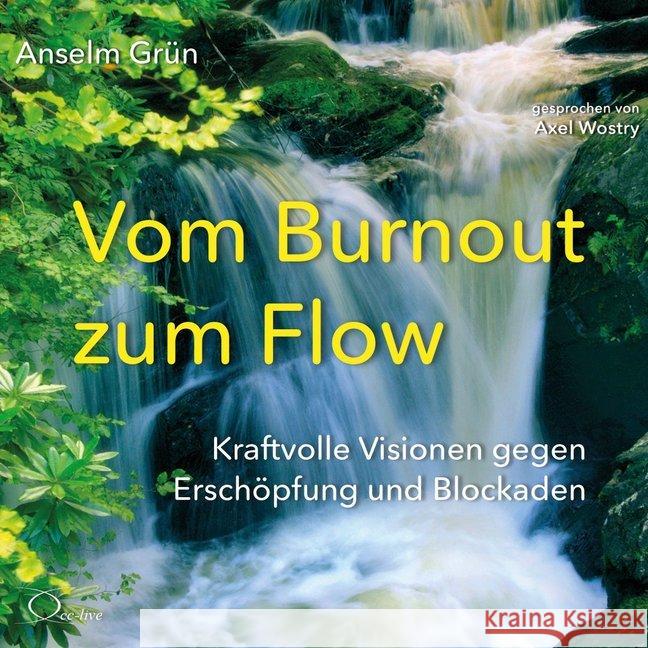 Vom Burnout zum Flow, 4 Audio-CDs : Kraftvolle Visionen gegen Erschöpfung und Blockaden, Lesung. CD Standard Audio Format. Ungekürzte Ausgabe Grün, Anselm 9783956164637 cc-live