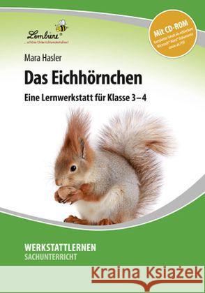 Das Eichhörnchen, m. CD-ROM : Eine Lernwerkstatt für Klasse 3-4. Kopiervorlagen, editierbare Microsoft® Word® Dateien Hasler, Mara 9783956647475