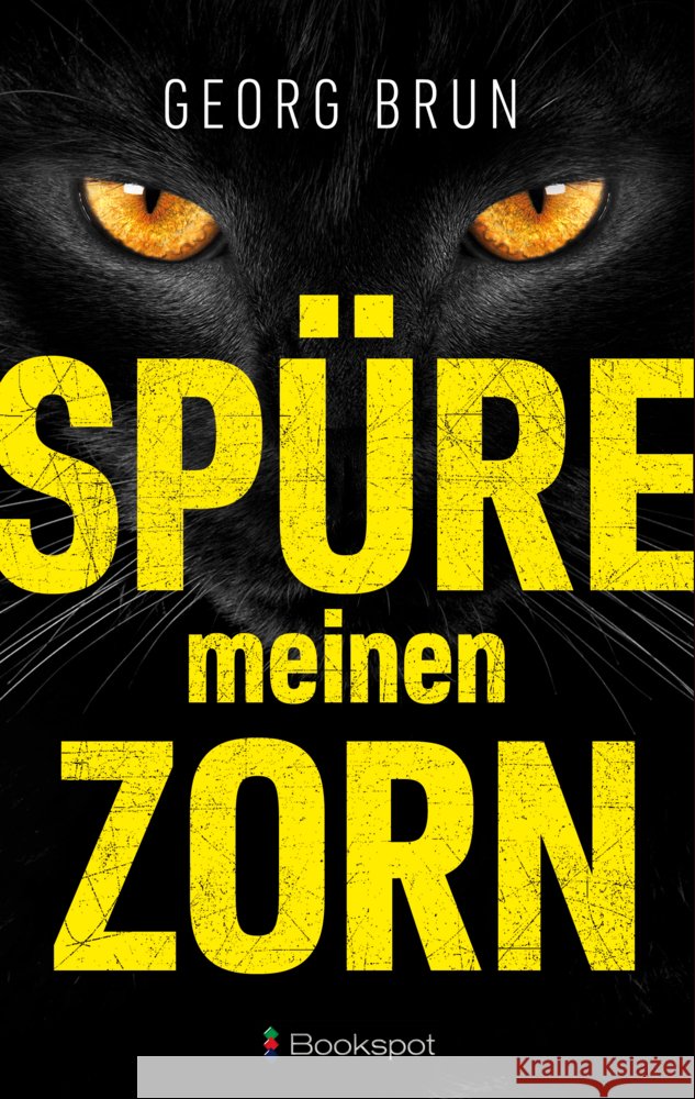 Spüre meinen Zorn Brun, Georg 9783956691881