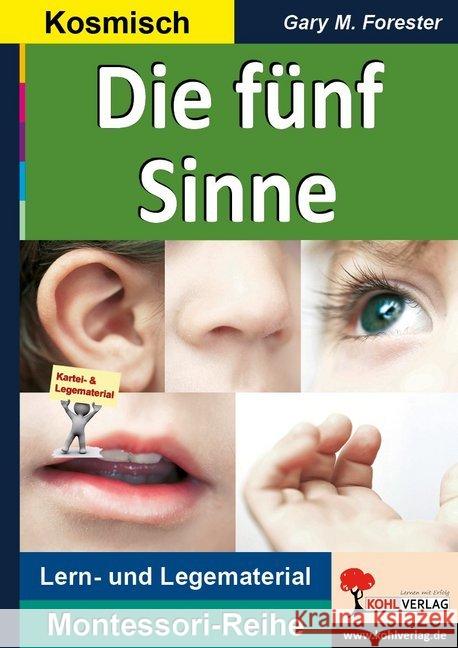 Die fünf Sinne : Legekreis zu den menschlichen Sinnen. Lern- und Legematerial Forester, Gary M. 9783956864674 Kohl-Verlag