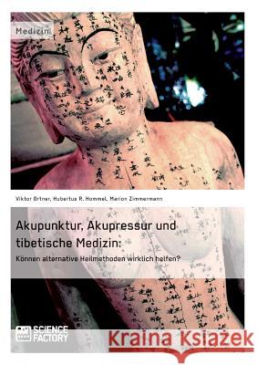 Akupunktur, Akupressur und tibetische Medizin: Können alternative Heilmethoden wirklich helfen? Zimmermann, Marion 9783956870804 Grin Verlag