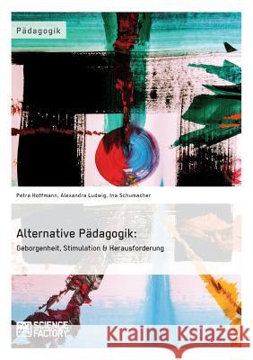 Alternative Pädagogik: Geborgenheit, Stimulation & Herausforderung Ludwig, Alexandra 9783956871597 Science Factory