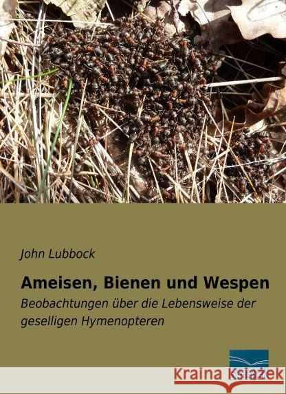 Ameisen, Bienen und Wespen : Beobachtungen über die Lebensweise der geselligen Hymenopteren Lubbock, John 9783956920653 Fachbuchverlag-Dresden