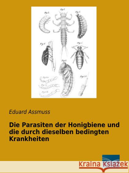 Die Parasiten der Honigbiene und die durch dieselben bedingten Krankheiten Assmuss, Eduard 9783956921162 Fachbuchverlag-Dresden