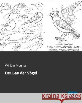 Der Bau der Vögel Marshall, William 9783956922688