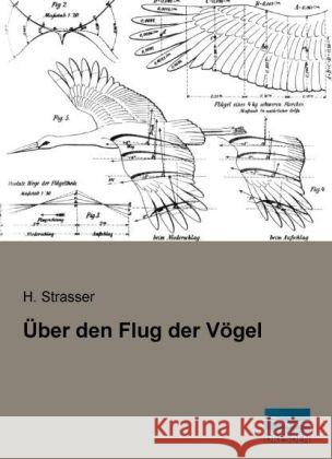 Über den Flug der Vögel Strasser, H. 9783956923388 Fachbuchverlag-Dresden