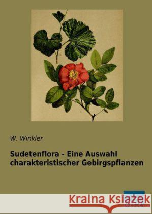 Sudetenflora - Eine Auswahl charakteristischer Gebirgspflanzen Winkler, W. 9783956923685 Fachbuchverlag-Dresden