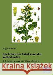 Der Anbau des Tabaks und der Weberkarden : Anleitung zum zweckmäßigen Betrieb Schober, Hugo 9783956924187 Fachbuchverlag-Dresden