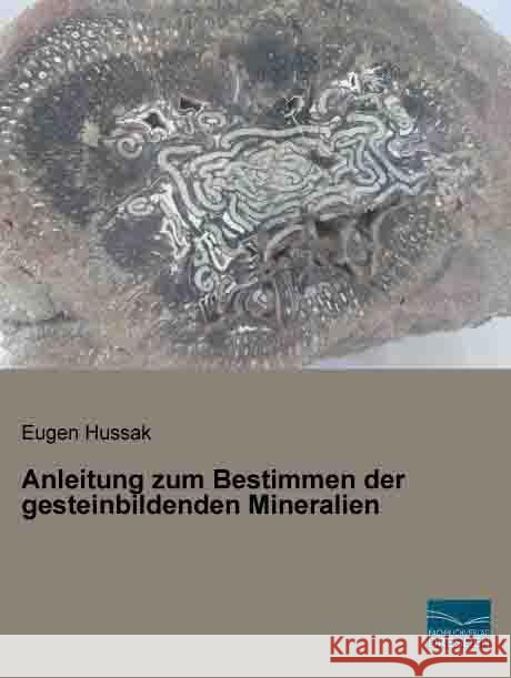 Anleitung zum Bestimmen der gesteinbildenden Mineralien Hussak, Eugen 9783956924828