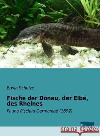 Fische der Donau, der Elbe, des Rheines : Fauna Piscium Germaniae (1892) Schulze, Erwin 9783956924866 Fachbuchverlag-Dresden