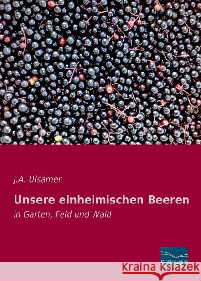 Unsere einheimischen Beeren : in Garten, Feld und Wald Ulsamer, J. A. 9783956925535 Fachbuchverlag-Dresden