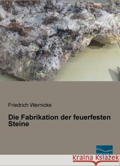 Die Fabrikation der feuerfesten Steine Wernicke, Friedrich 9783956926051 Fachbuchverlag-Dresden