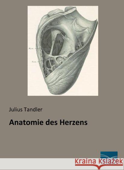 Anatomie des Herzens Tandler, Julius 9783956927355 Fachbuchverlag-Dresden