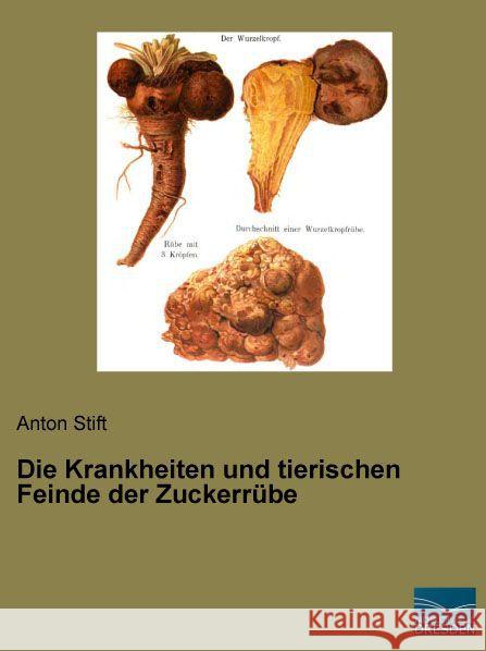 Die Krankheiten und tierischen Feinde der Zuckerrübe Stift, Anton 9783956928369 Fachbuchverlag-Dresden