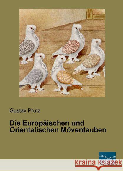 Die Europäischen und Orientalischen Möventauben Prütz, Gustav 9783956928499 Fachbuchverlag-Dresden