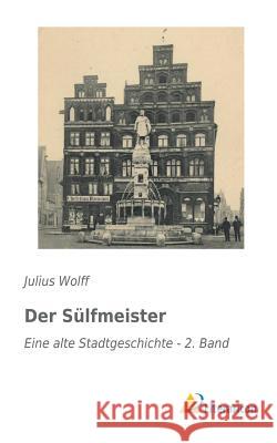 Der Sülfmeister : Eine alte Stadtgeschichte - 2. Band Julius Wolff 9783956973369