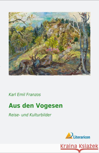 Aus den Vogesen : Reise- und Kulturbilder Franzos, Karl E. 9783956978975 Literaricon