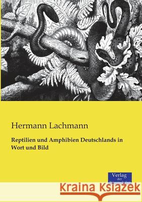 Reptilien und Amphibien Deutschlands in Wort und Bild Lachmann, Hermann 9783957000323