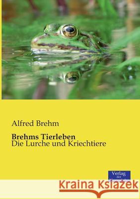 Brehms Tierleben: Die Lurche und Kriechtiere Alfred Brehm 9783957003201 Vero Verlag