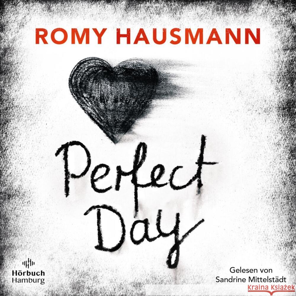 Perfect Day, 2 Audio-CD, 2 MP3 Hausmann, Romy 9783957132628 Hörbuch Hamburg