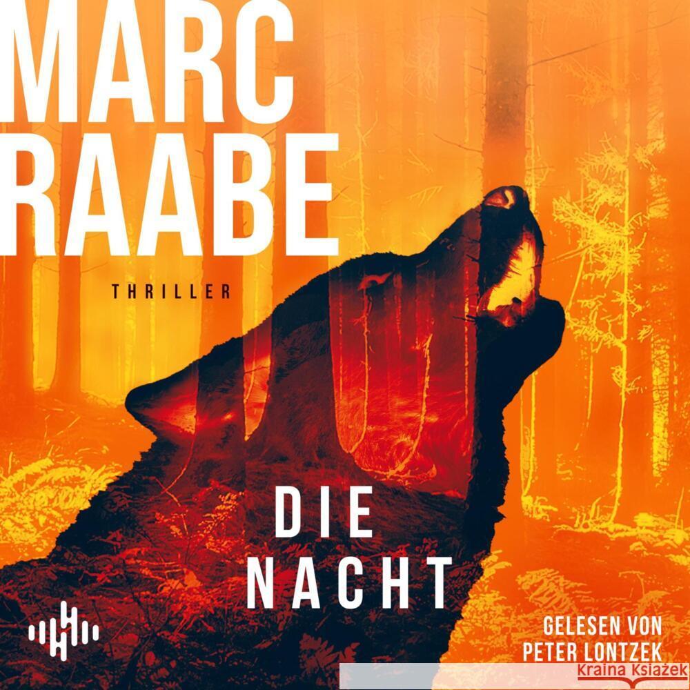 Die Nacht, 2 Audio-CD, 2 MP3 Raabe, Marc 9783957133267 Hörbuch Hamburg