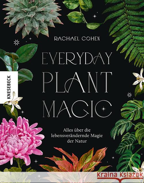 Everyday Plant Magic Cohen, Rachael 9783957287342 Knesebeck