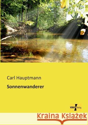 Sonnenwanderer Carl Hauptmann 9783957380777 Vero Verlag