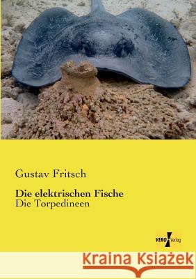 Die elektrischen Fische: Die Torpedineen Gustav Fritsch 9783957384249