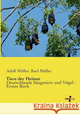 Tiere der Heimat: Deutschlands Säugetiere und Vögel - Erstes Buch Müller, Adolf 9783957387004 Vero Verlag