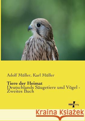 Tiere der Heimat: Deutschlands Säugetiere und Vögel - Zweites Buch Müller, Adolf 9783957387011 Vero Verlag