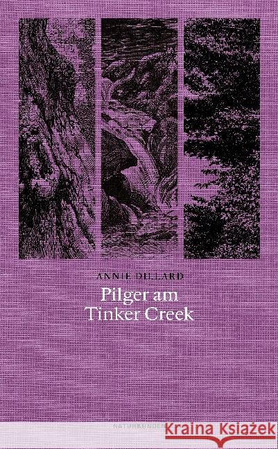 Pilger am Tinker Creek Dillard, Annie 9783957573346 Matthes & Seitz Berlin